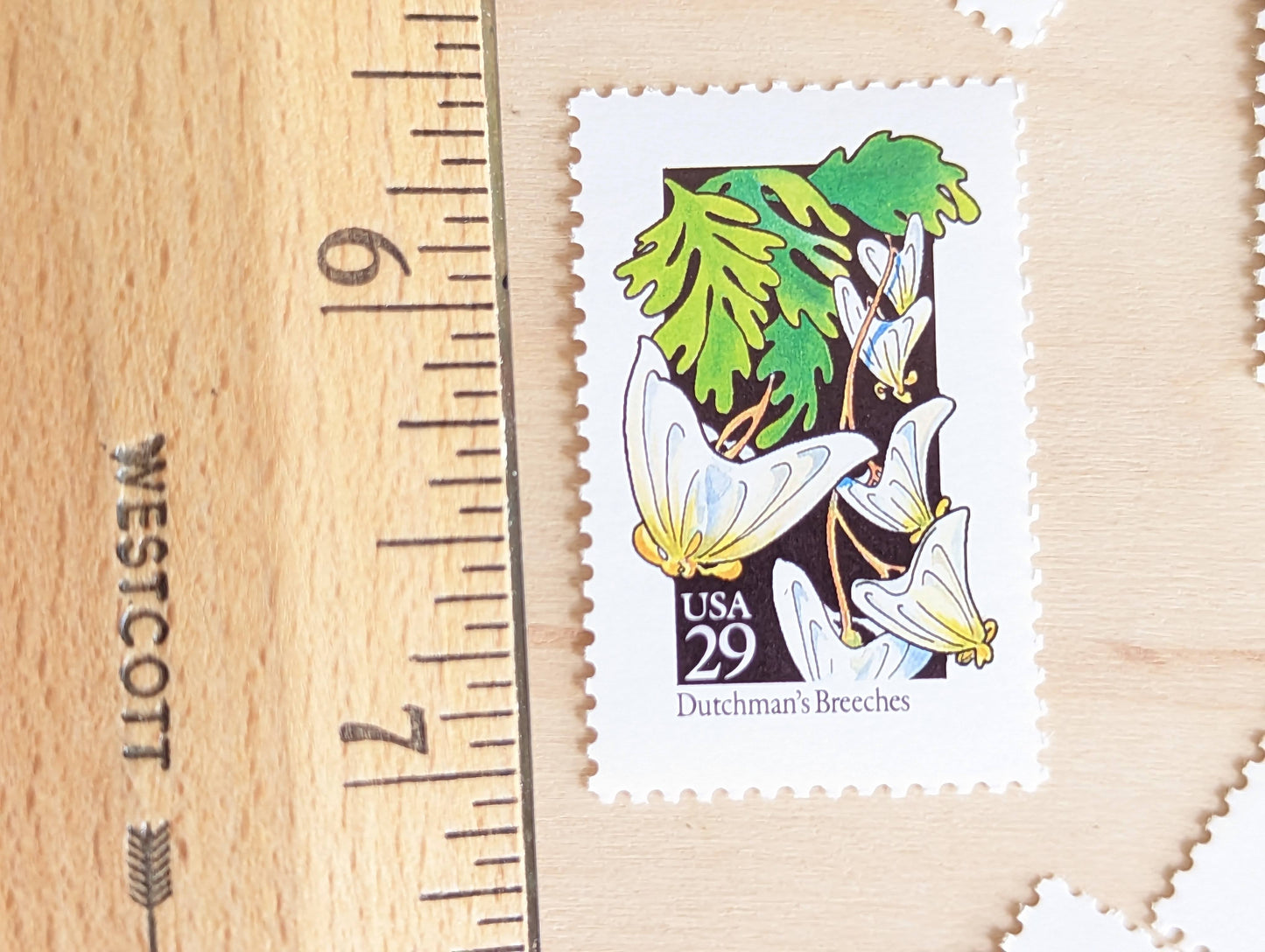 Set of 5 Dutchmen's Breeches Wildflower Stamps, 29 cent stamps, 1992 Unused USPS Postage Stamps