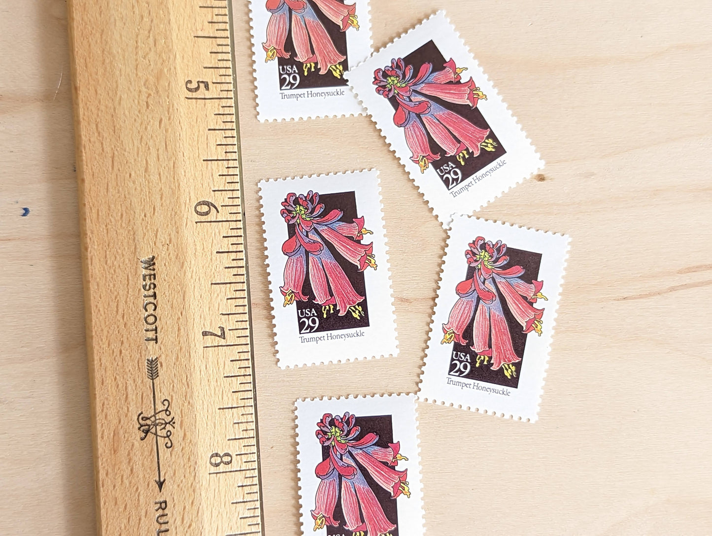 Set of 5 Trumpet Honeysuckle Wildflower Stamps, 29 cent stamps, 1992 Unused USPS Postage Stamps