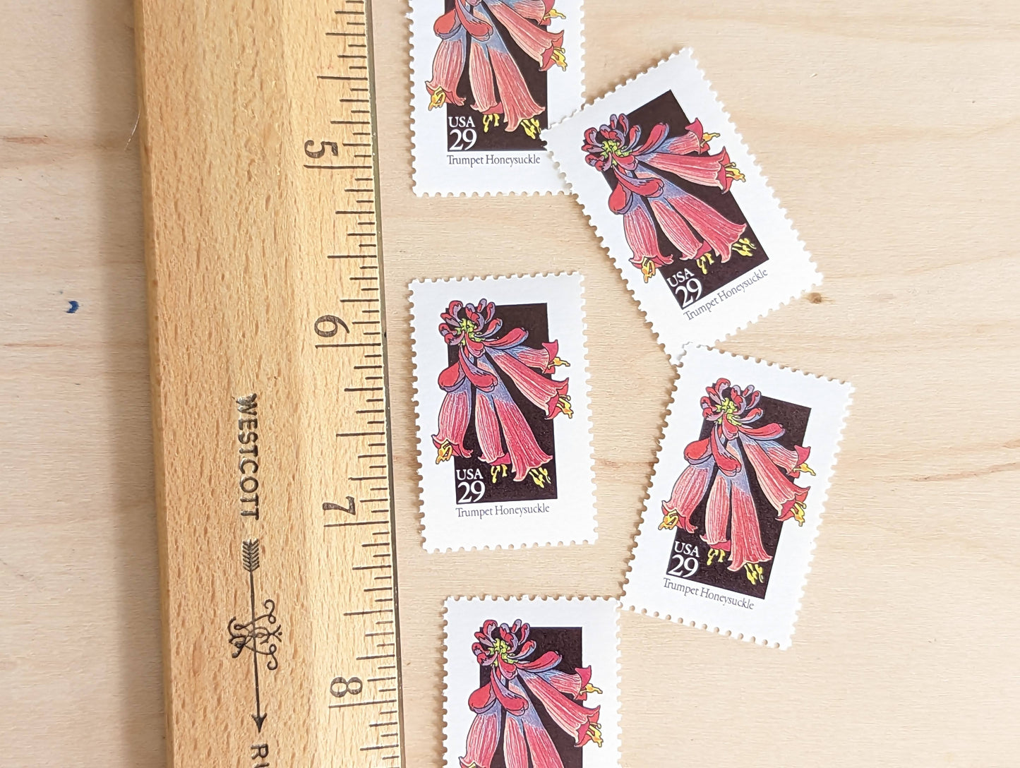 Set of 5 Trumpet Honeysuckle Wildflower Stamps, 29 cent stamps, 1992 Unused USPS Postage Stamps