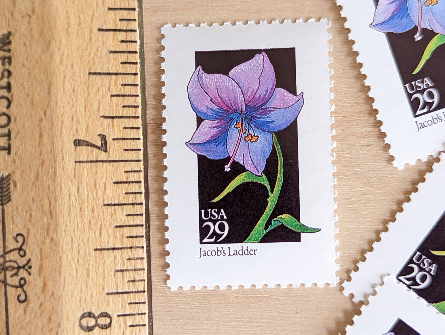 Set of 5 Jacob's Ladder Wildflower Stamps, 29 cent stamps, 1992 Unused USPS Postage Stamps