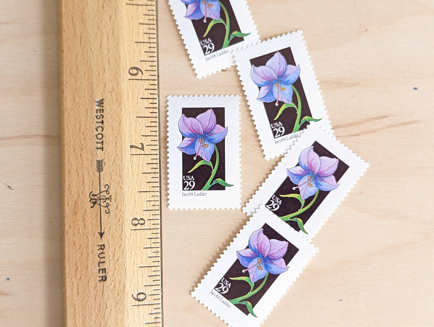 Set of 5 Jacob's Ladder Wildflower Stamps, 29 cent stamps, 1992 Unused USPS Postage Stamps