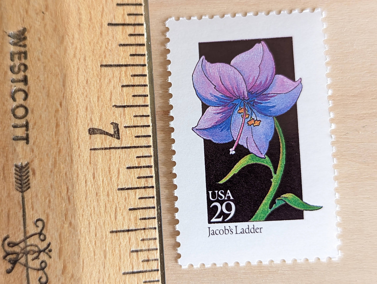 Set of 5 Jacob's Ladder Wildflower Stamps, 29 cent stamps, 1992 Unused USPS Postage Stamps