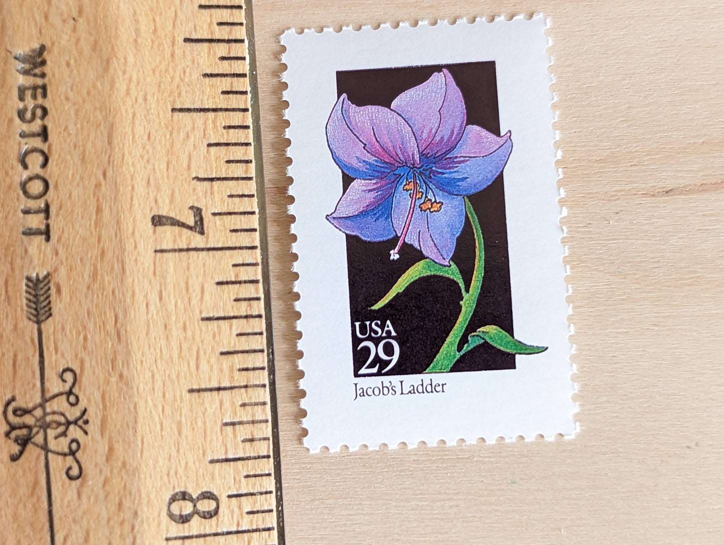 Set of 5 Jacob's Ladder Wildflower Stamps, 29 cent stamps, 1992 Unused USPS Postage Stamps