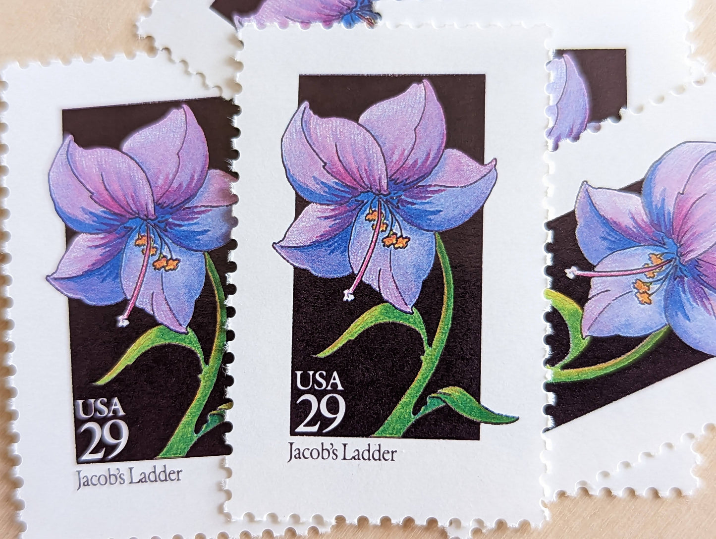 Set of 5 Jacob's Ladder Wildflower Stamps, 29 cent stamps, 1992 Unused USPS Postage Stamps