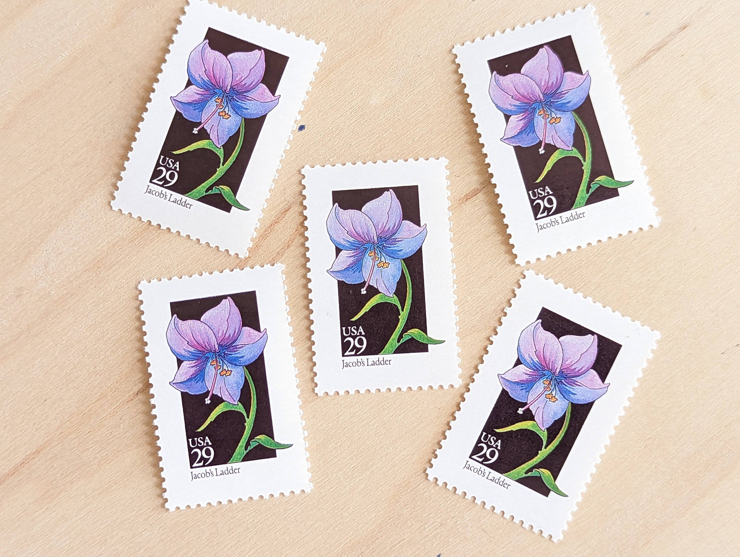 Set of 5 Jacob's Ladder Wildflower Stamps, 29 cent stamps, 1992 Unused USPS Postage Stamps