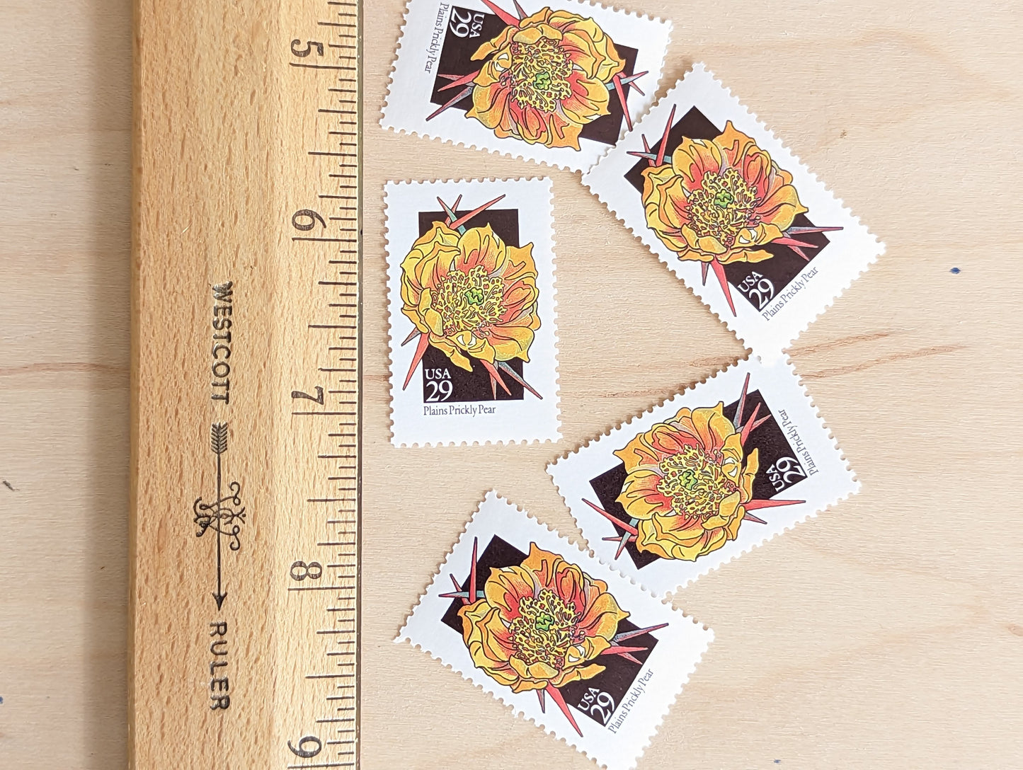 Set of 5 Plains Prickly Pear Wildflower Stamps, 29 cent stamps, 1992 Unused USPS Postage Stamps