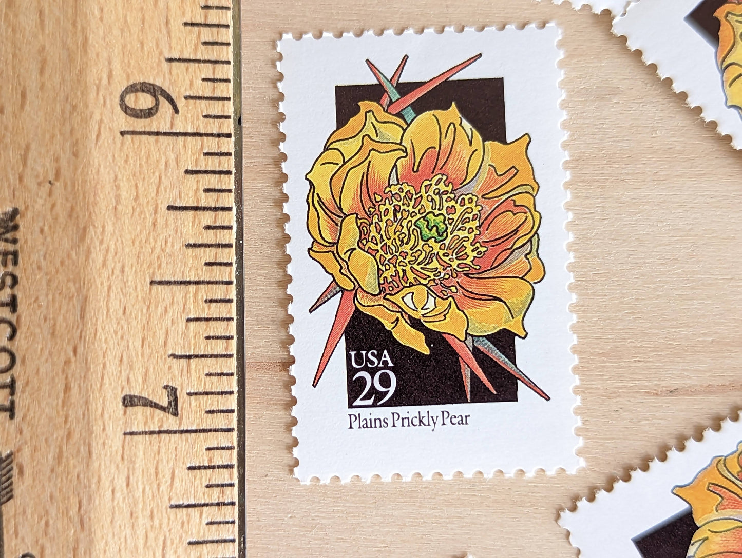 Set of 5 Plains Prickly Pear Wildflower Stamps, 29 cent stamps, 1992 Unused USPS Postage Stamps