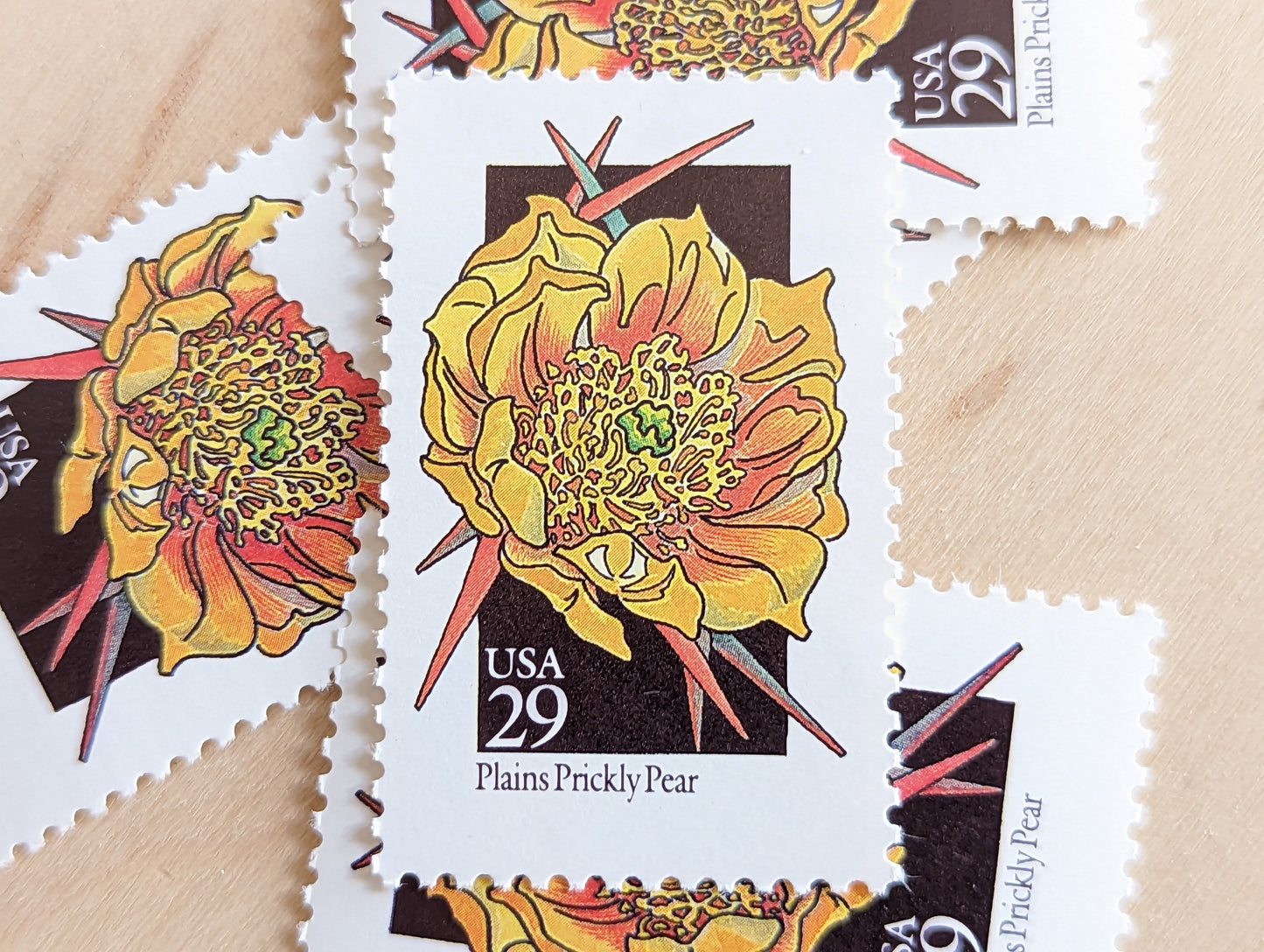 Set of 5 Plains Prickly Pear Wildflower Stamps, 29 cent stamps, 1992 Unused USPS Postage Stamps