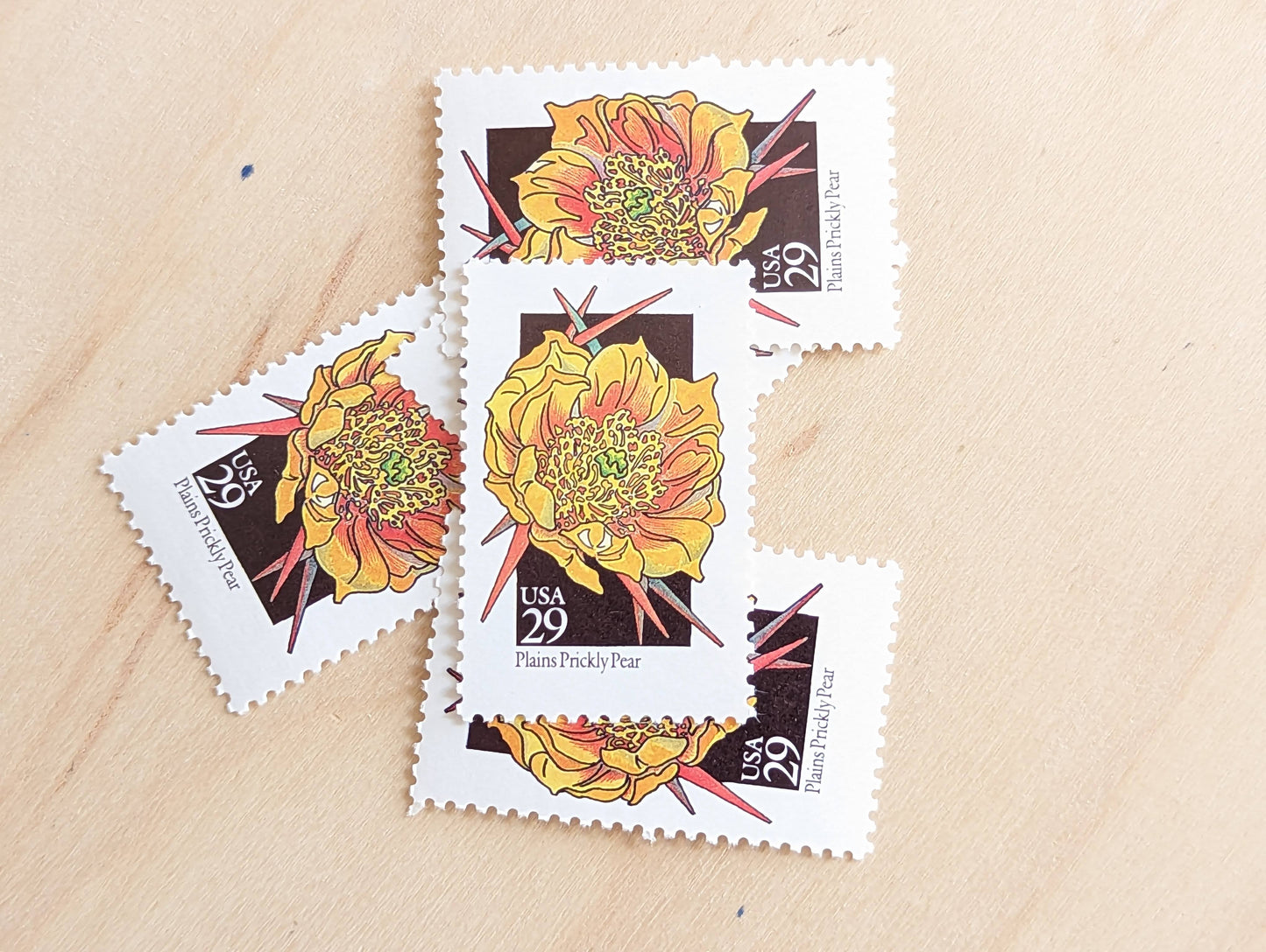 Set of 5 Plains Prickly Pear Wildflower Stamps, 29 cent stamps, 1992 Unused USPS Postage Stamps