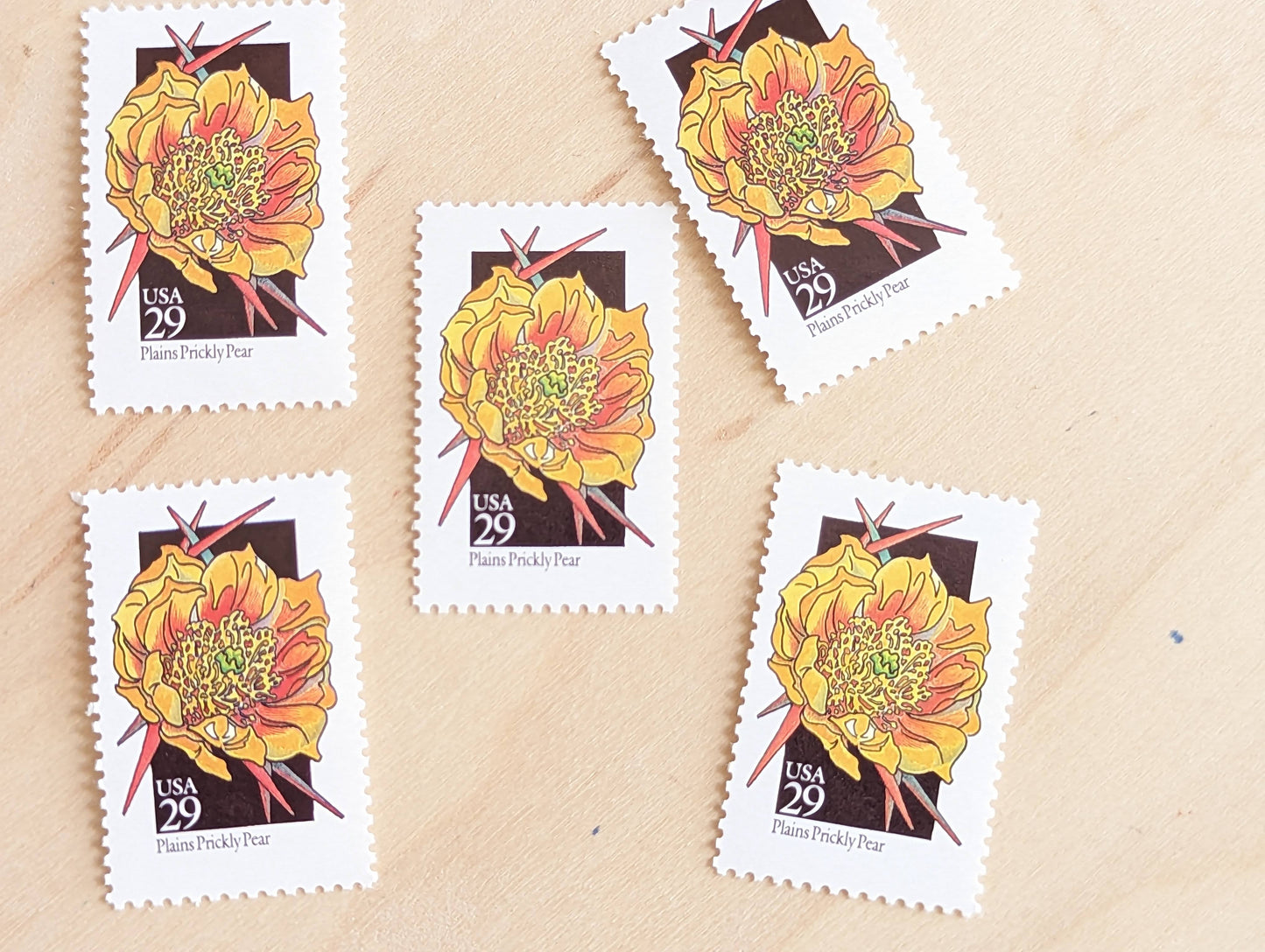 Set of 5 Plains Prickly Pear Wildflower Stamps, 29 cent stamps, 1992 Unused USPS Postage Stamps