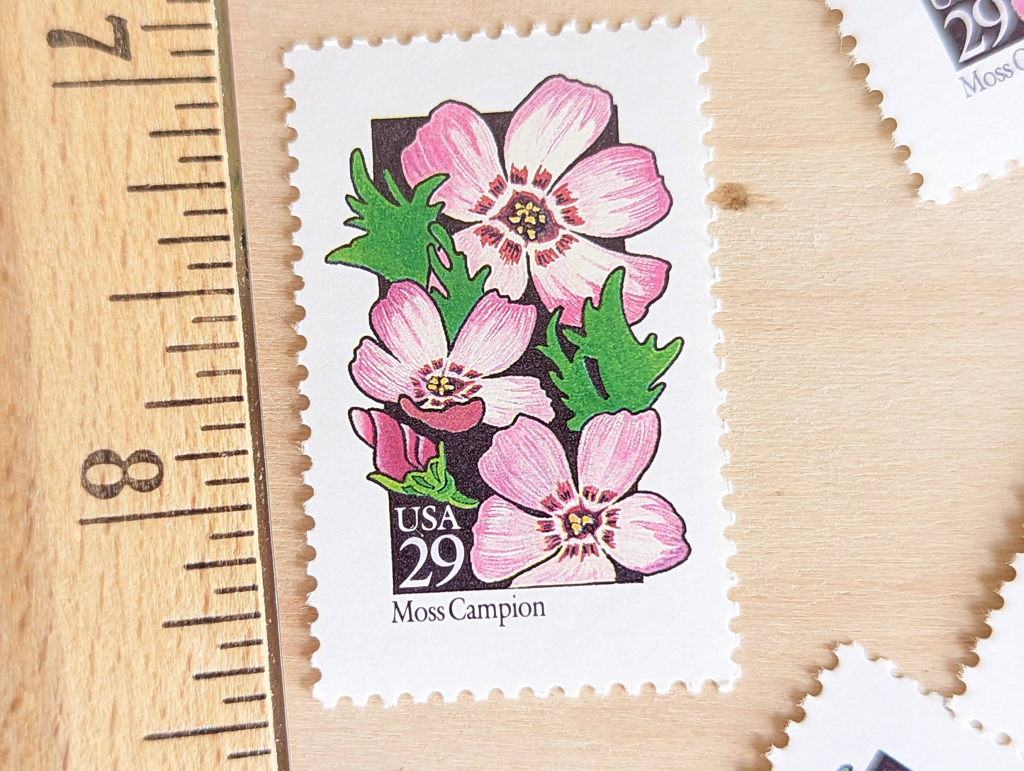 Set of 5 Moss Campion Wildflower Stamps, 29 cent stamps, 1992 Unused USPS Postage Stamps