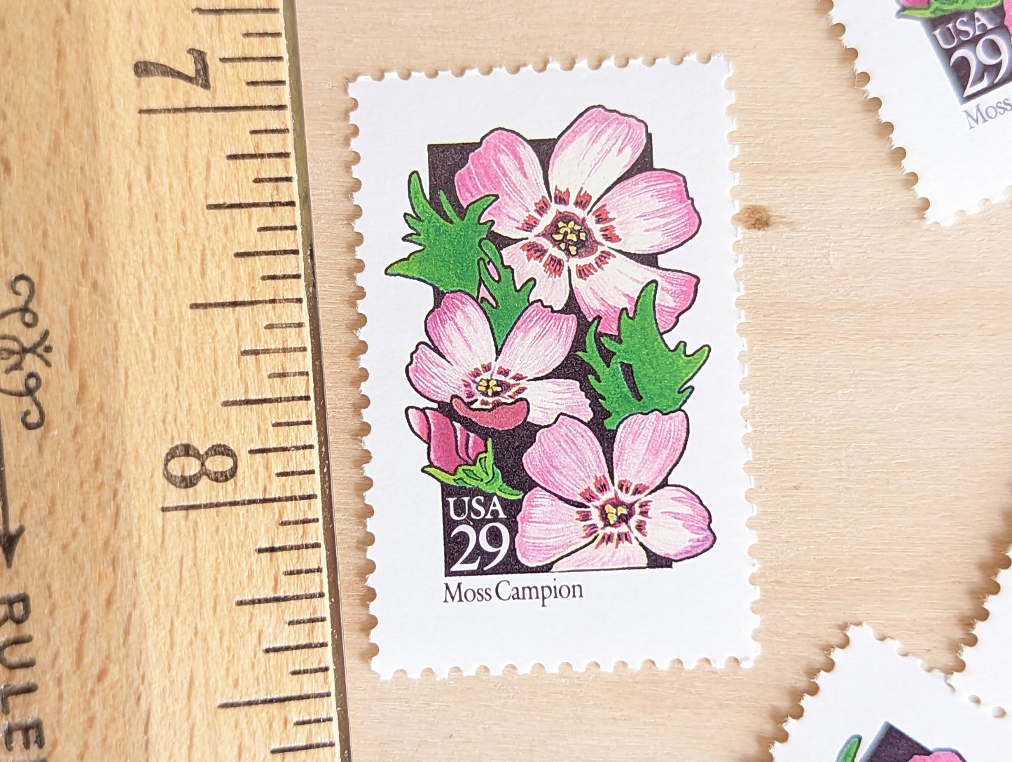 Set of 5 Moss Campion Wildflower Stamps, 29 cent stamps, 1992 Unused USPS Postage Stamps