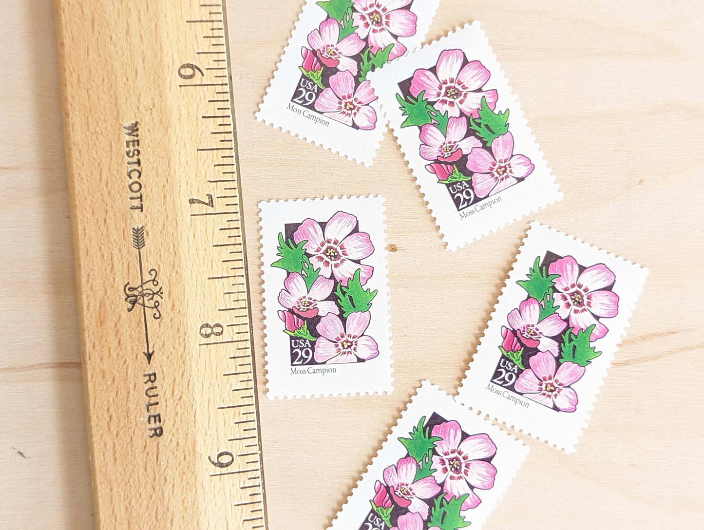 Set of 5 Moss Campion Wildflower Stamps, 29 cent stamps, 1992 Unused USPS Postage Stamps