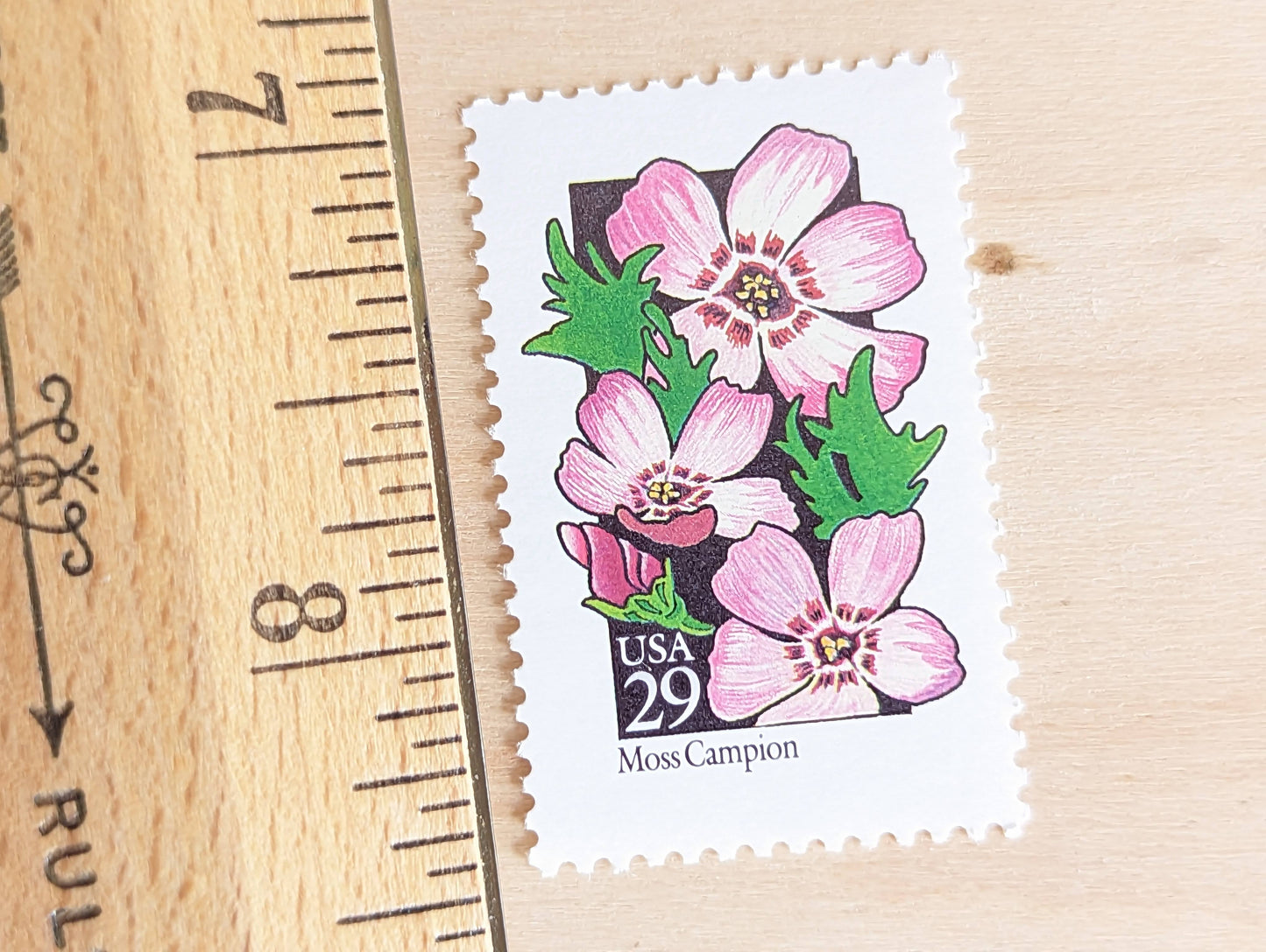 Set of 5 Moss Campion Wildflower Stamps, 29 cent stamps, 1992 Unused USPS Postage Stamps