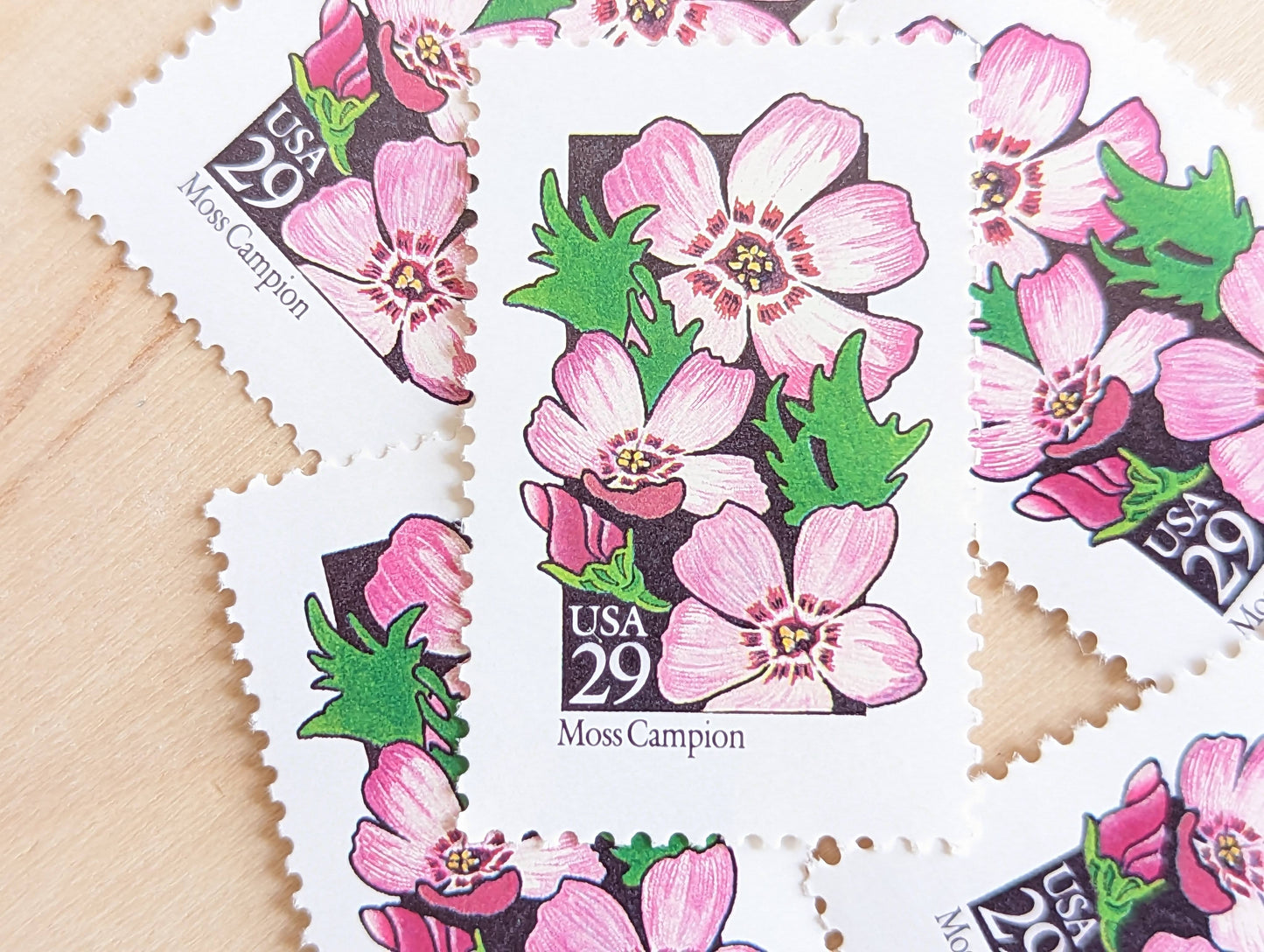 Set of 5 Moss Campion Wildflower Stamps, 29 cent stamps, 1992 Unused USPS Postage Stamps