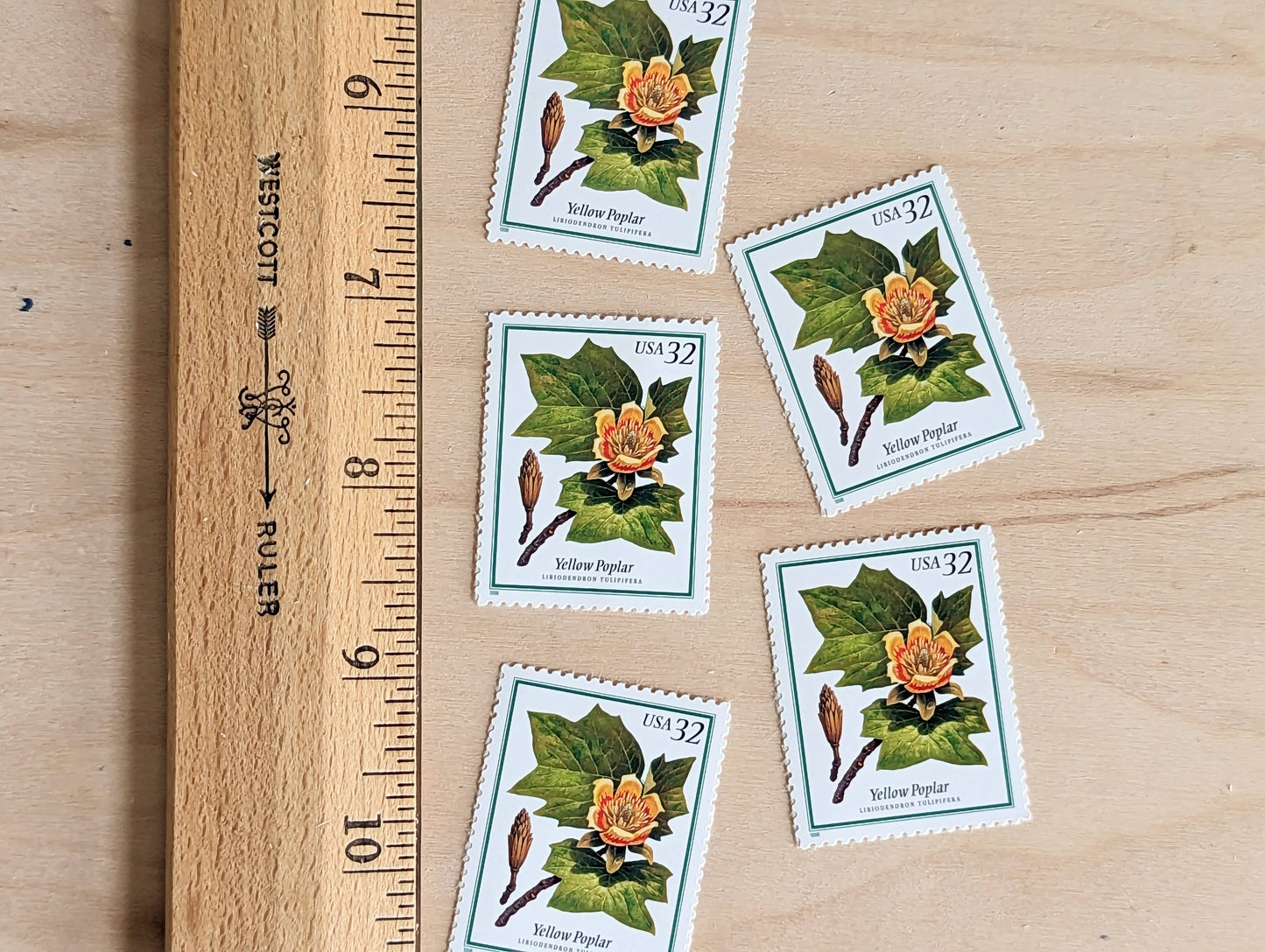 Set of 5 Yellow Poplar stamps, 32 Cent, Flowering Tree Stamps, 1998, Unused Postage Stamps