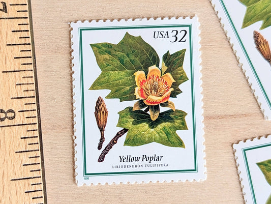 Set of 5 Yellow Poplar stamps, 32 Cent, Flowering Tree Stamps, 1998, Unused Postage Stamps