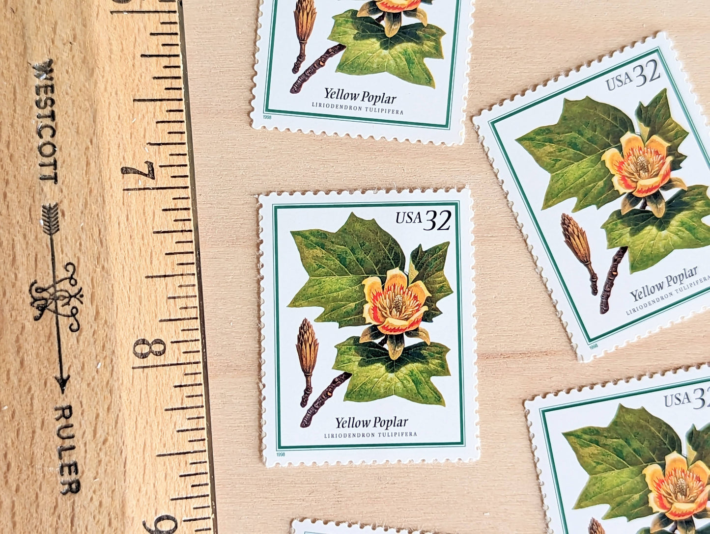 Set of 5 Yellow Poplar stamps, 32 Cent, Flowering Tree Stamps, 1998, Unused Postage Stamps