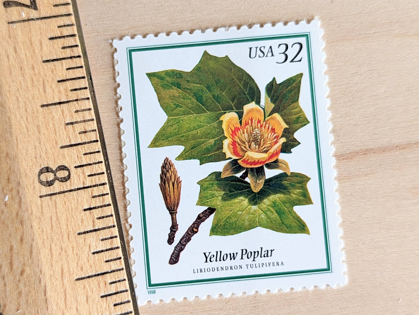 Set of 5 Yellow Poplar stamps, 32 Cent, Flowering Tree Stamps, 1998, Unused Postage Stamps