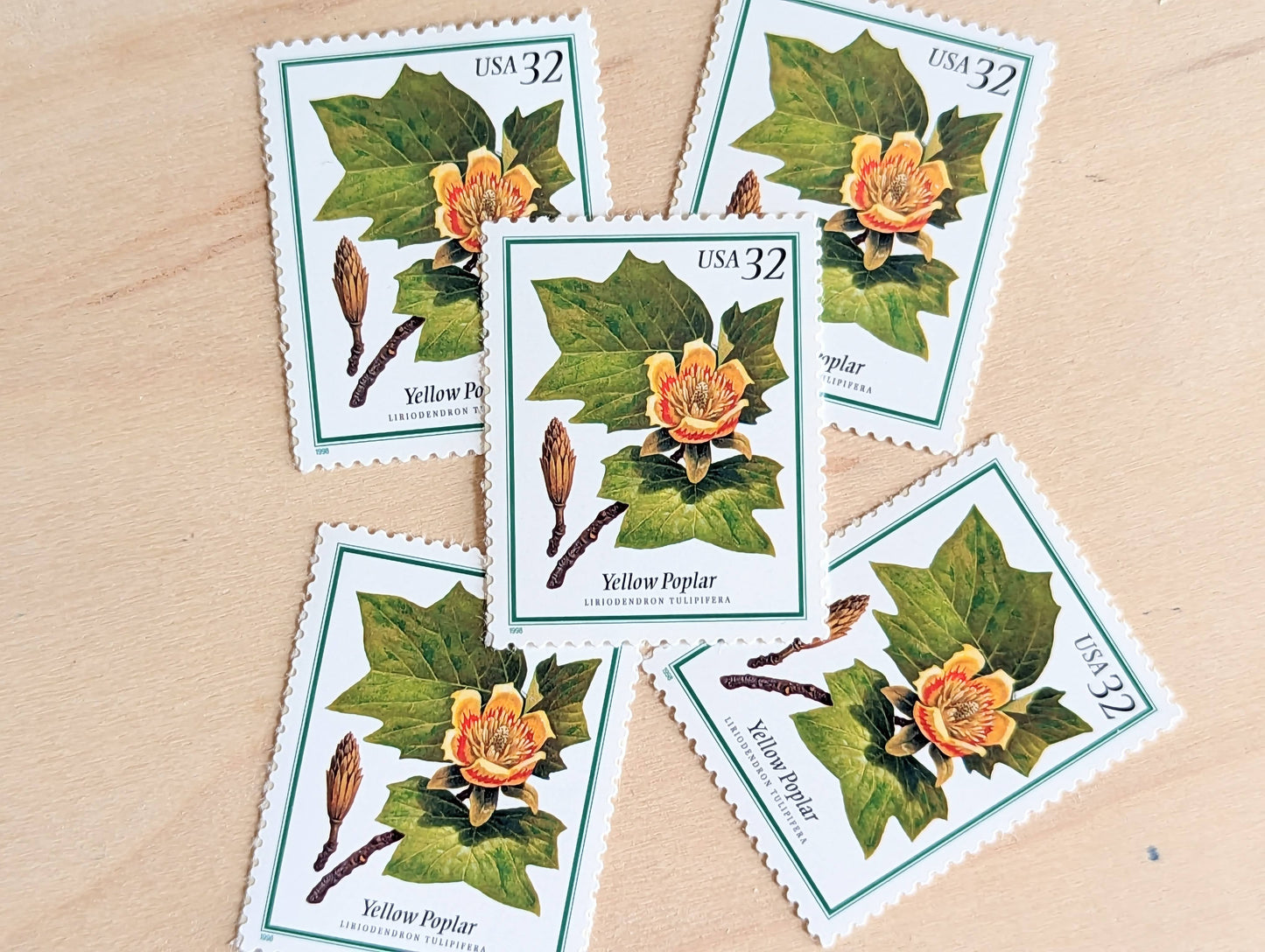 Set of 5 Yellow Poplar stamps, 32 Cent, Flowering Tree Stamps, 1998, Unused Postage Stamps