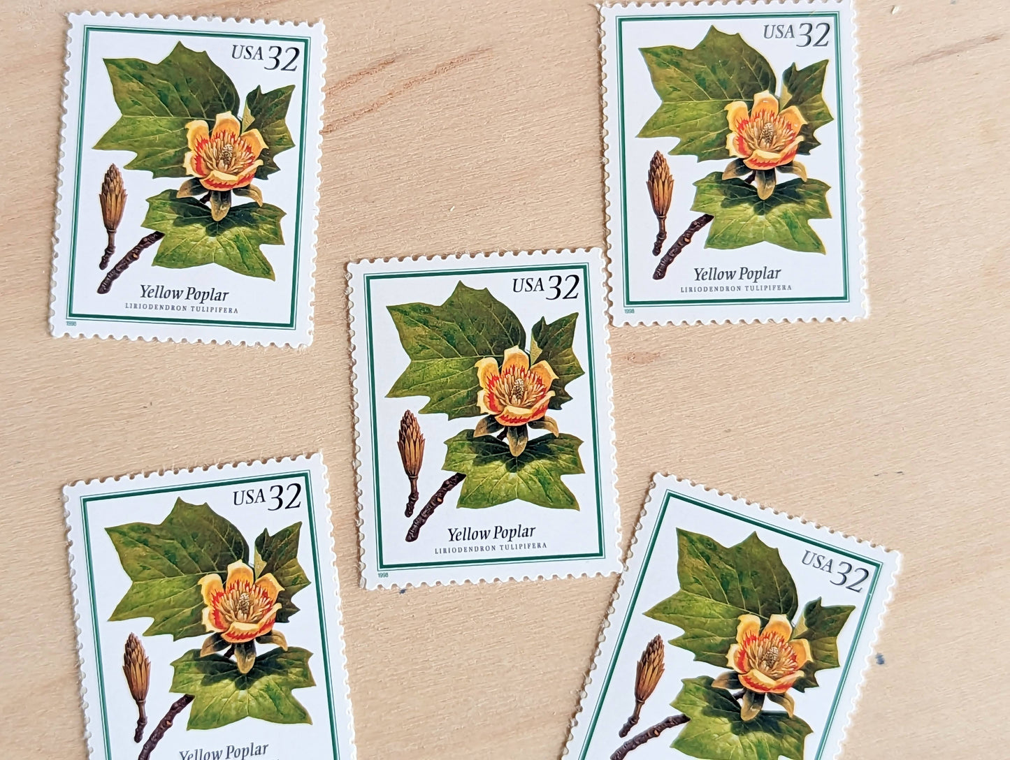 Set of 5 Yellow Poplar stamps, 32 Cent, Flowering Tree Stamps, 1998, Unused Postage Stamps