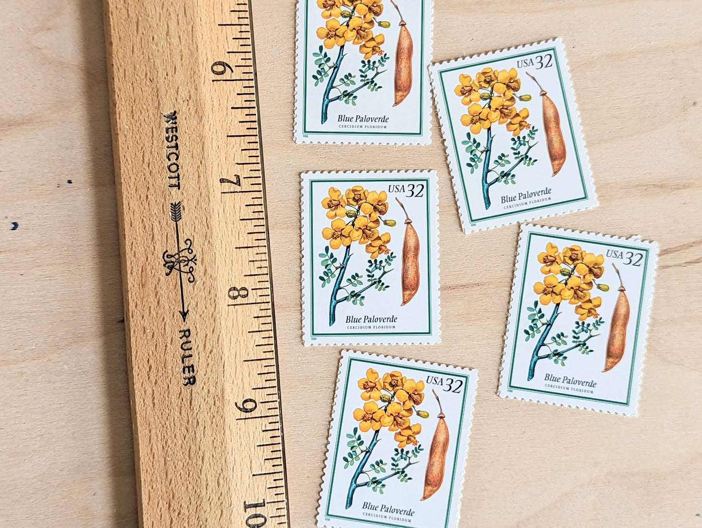 Set of 5 Blue Paloverde stamps, 32 Cent, Flowering Tree Stamps, 1998, Unused Postage Stamps