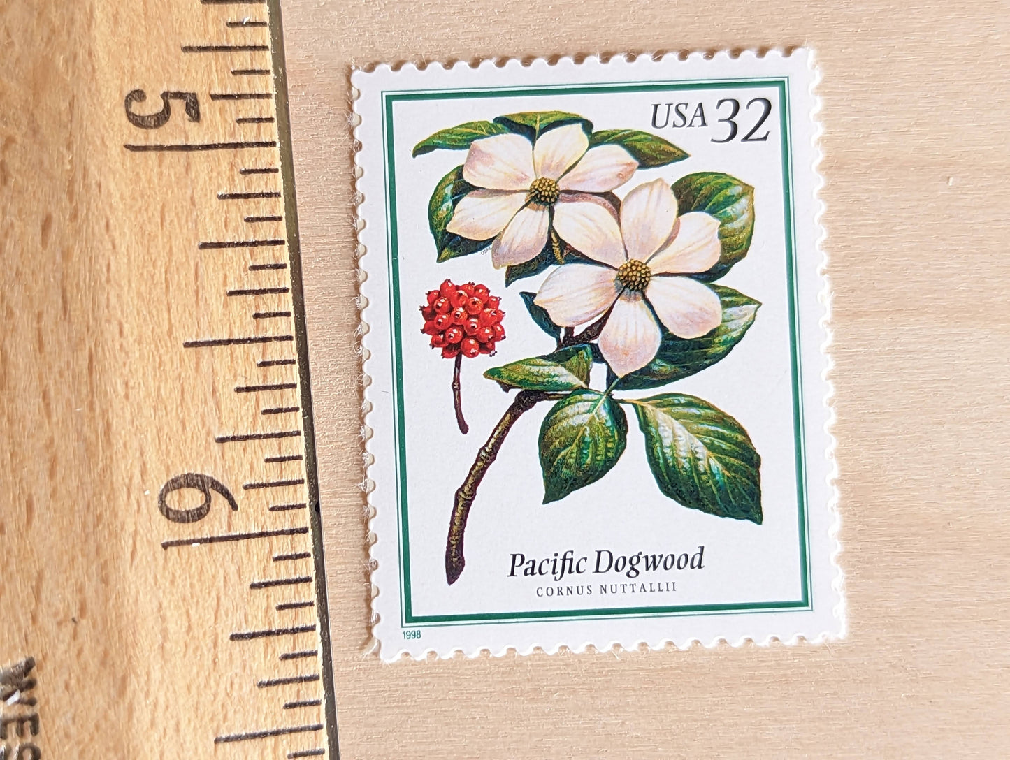 Set of 5 Pacific Dogwood stamps, 32 Cent, Flowering Tree Stamps, 1998, Unused Postage Stamps