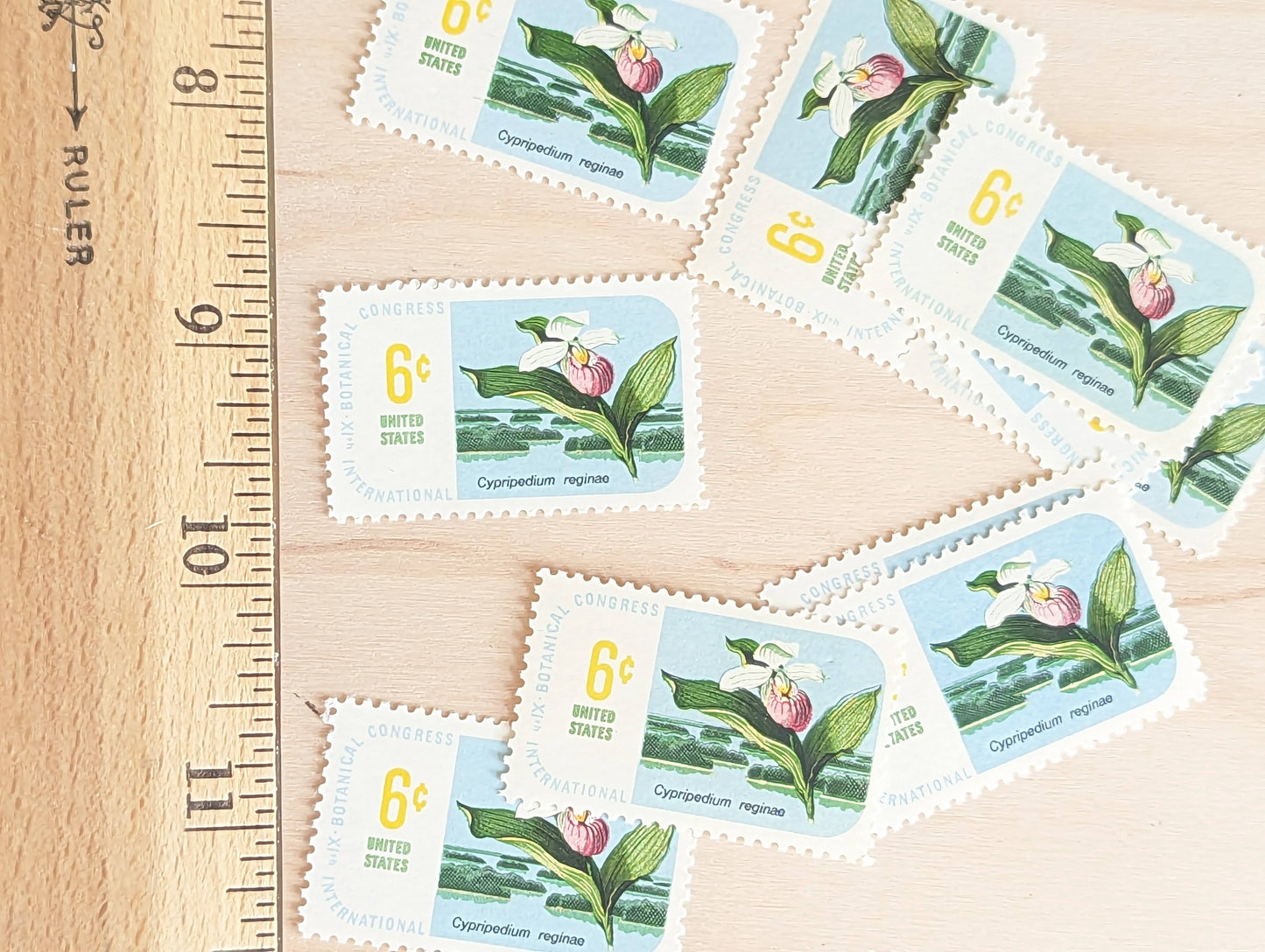 Set of 10 Cypripedium Reginae stamps, International Botanical Congress, 1969 Unused Postage Stamps, 6 Cent Stamps