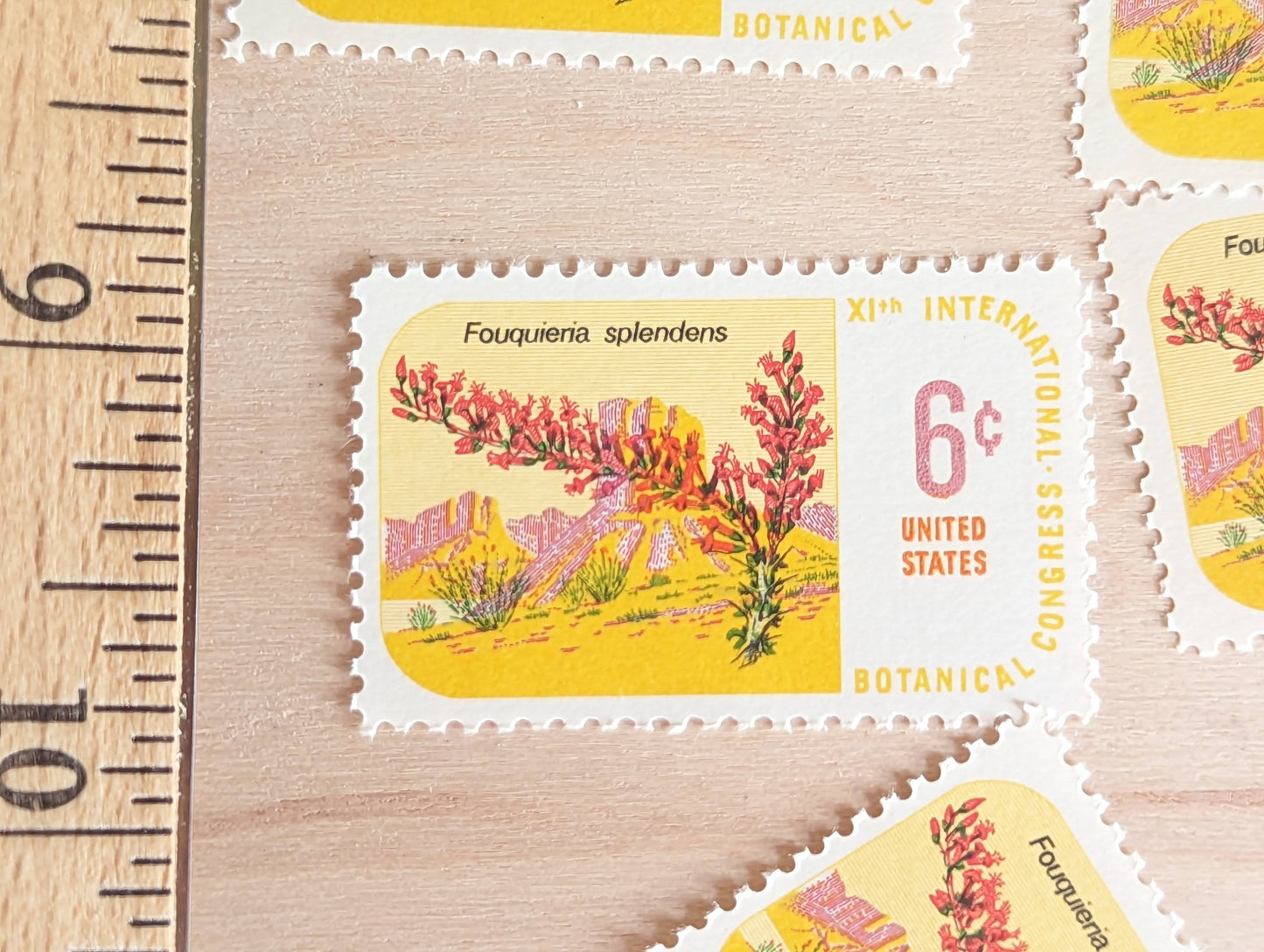 Set of 10 Fouquieria Splendens stamps, International Botanical Congress, 1969 Unused Postage Stamps, 6 Cent Stamps