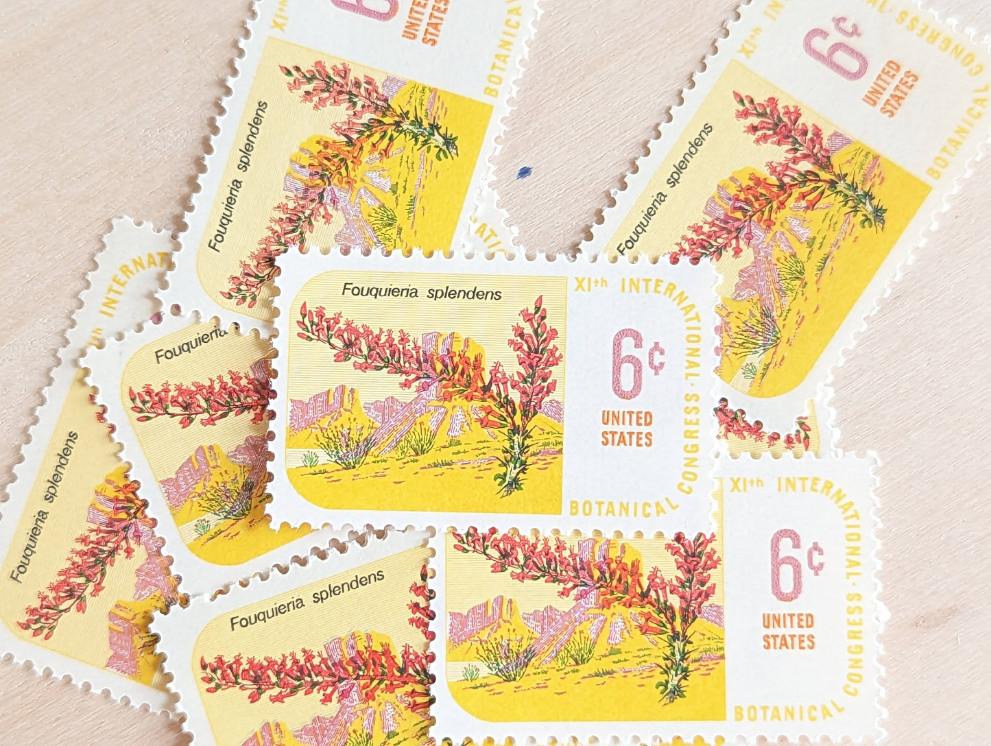 Set of 10 Fouquieria Splendens stamps, International Botanical Congress, 1969 Unused Postage Stamps, 6 Cent Stamps