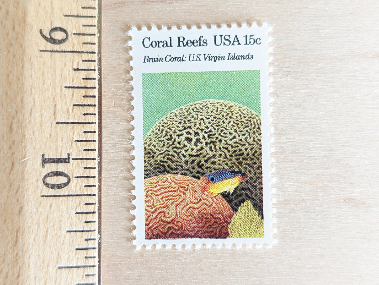 Coral Reefs stamps, 1980 Unused Postage Stamps, 15 Cent Stamps, Finger Coral, Brain Coral, Chalice Coral and Elkhorn Coral