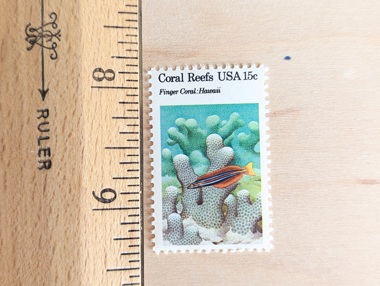 Coral Reefs stamps, 1980 Unused Postage Stamps, 15 Cent Stamps, Finger Coral, Brain Coral, Chalice Coral and Elkhorn Coral