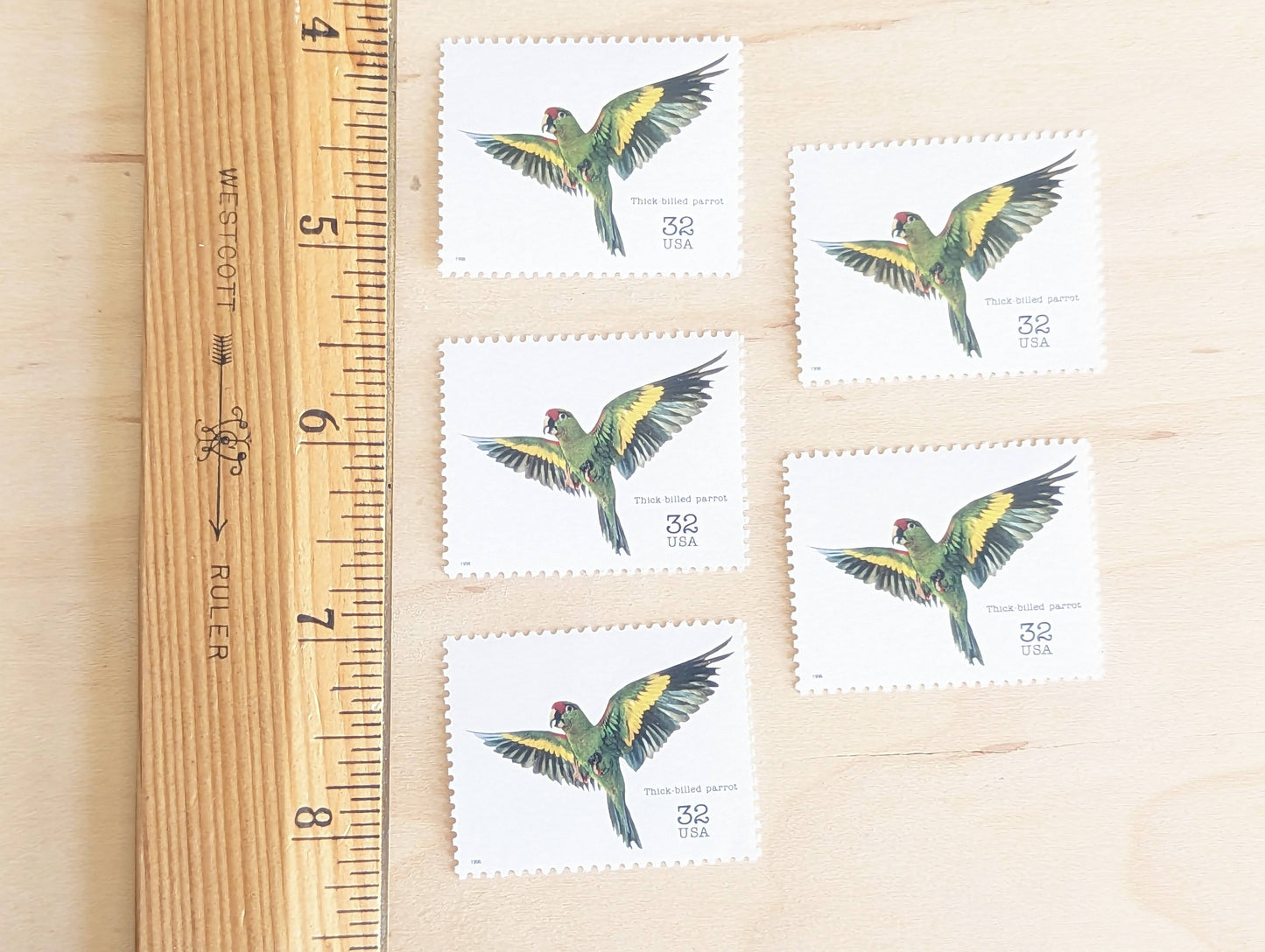 5 Thick Billed Parrot Stamps, 32 Cent Unused Postage Stamps, Endangered Species 1995