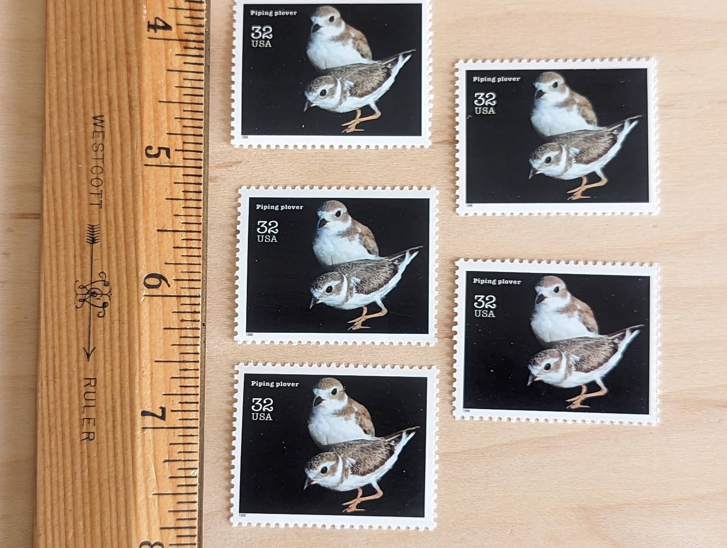 5 Piping Plover Stamps, 32 Cent Unused Postage Stamps, Endangered Species 1995