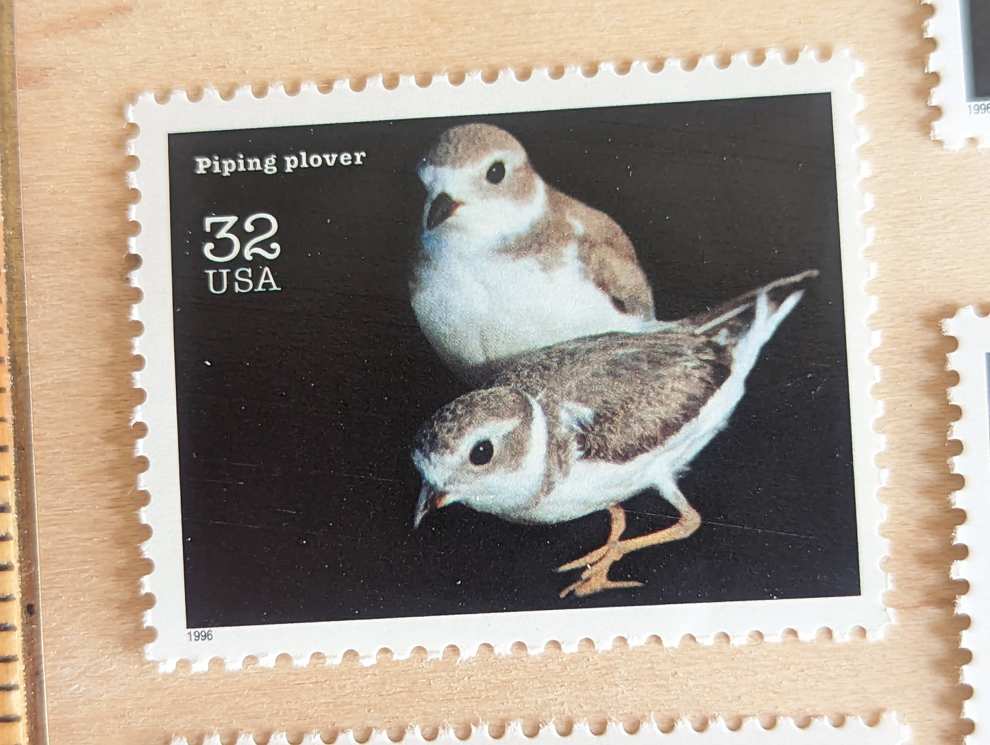 5 Piping Plover Stamps, 32 Cent Unused Postage Stamps, Endangered Species 1995