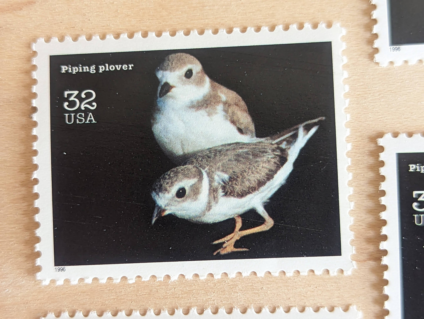 5 Piping Plover Stamps, 32 Cent Unused Postage Stamps, Endangered Species 1995