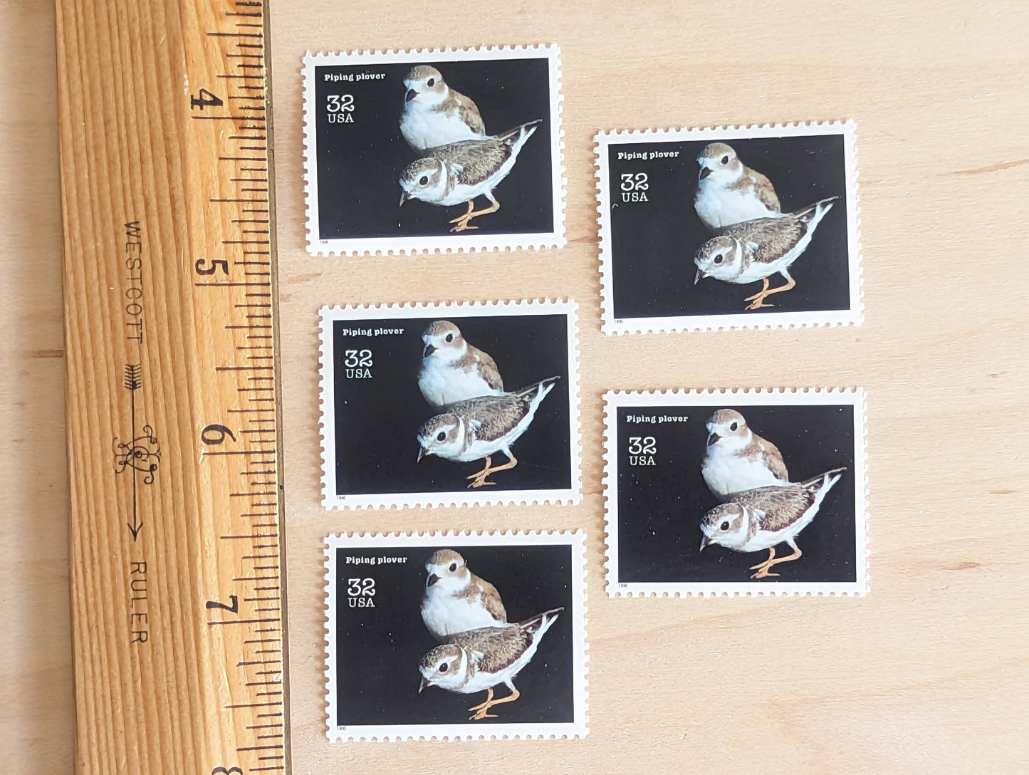 5 Piping Plover Stamps, 32 Cent Unused Postage Stamps, Endangered Species 1995