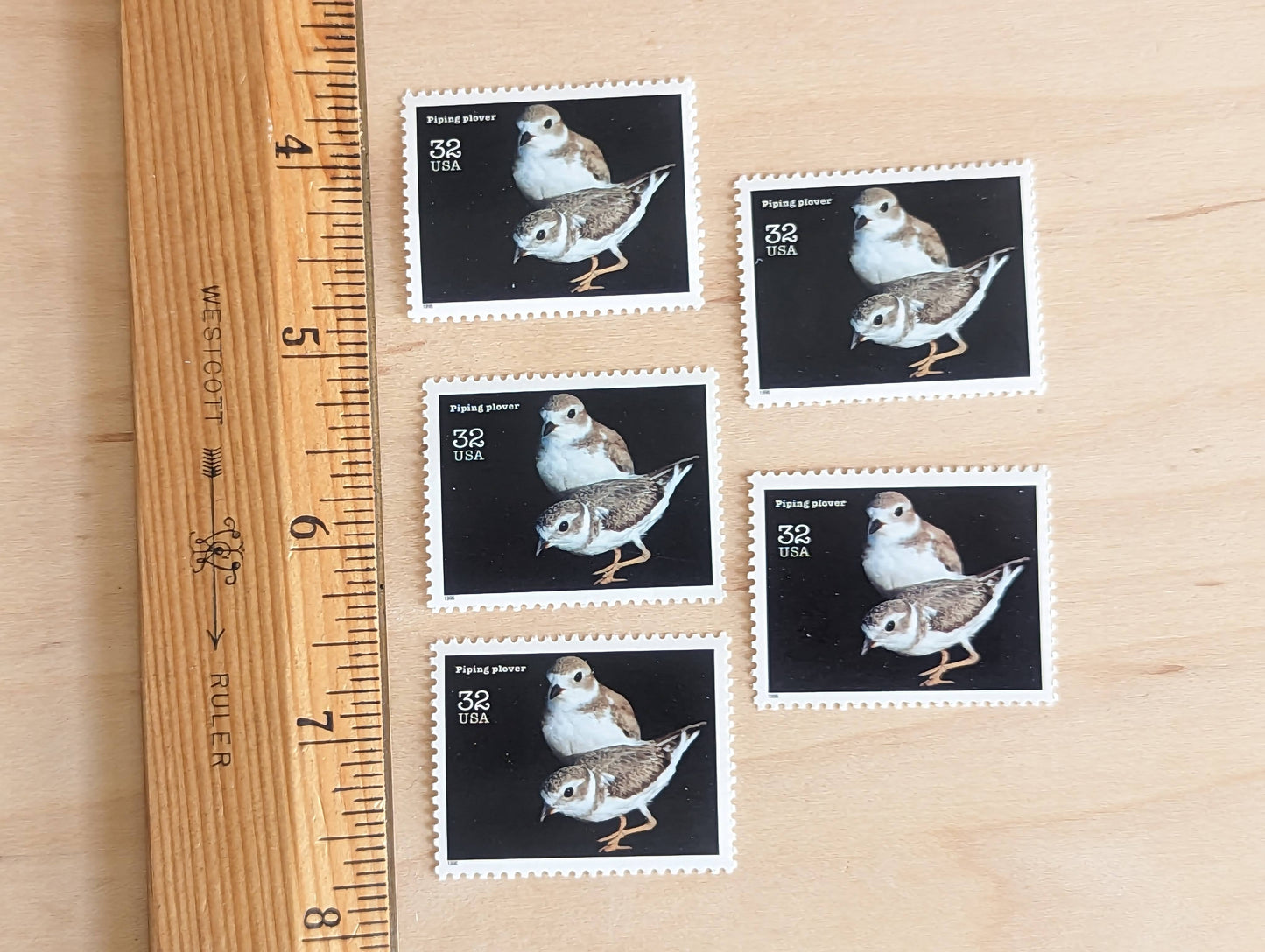 5 Piping Plover Stamps, 32 Cent Unused Postage Stamps, Endangered Species 1995