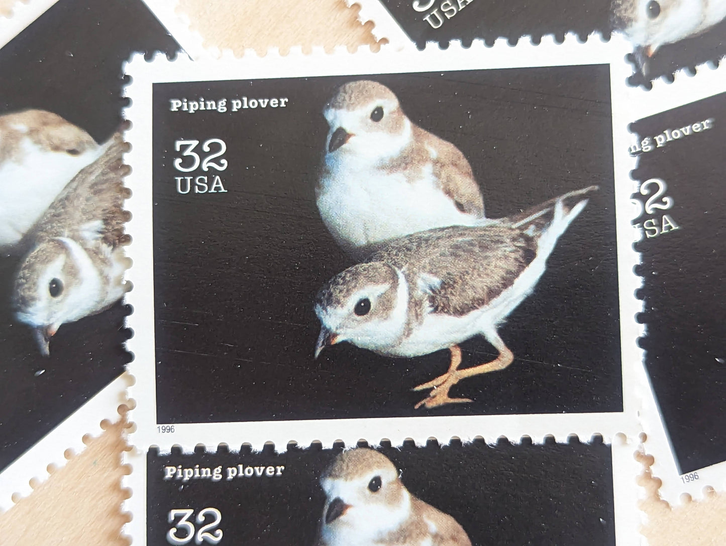 5 Piping Plover Stamps, 32 Cent Unused Postage Stamps, Endangered Species 1995