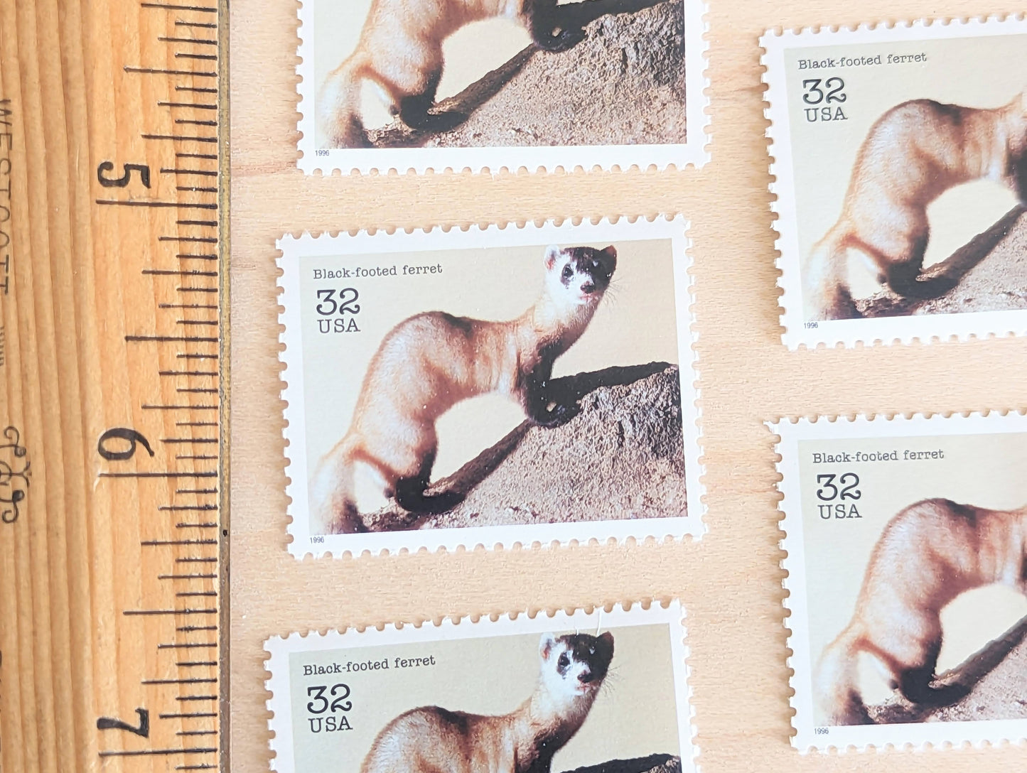 5 Black Footed Ferret Stamps, 32 Cent Unused Postage Stamps, 1995 Endangered Species Postage