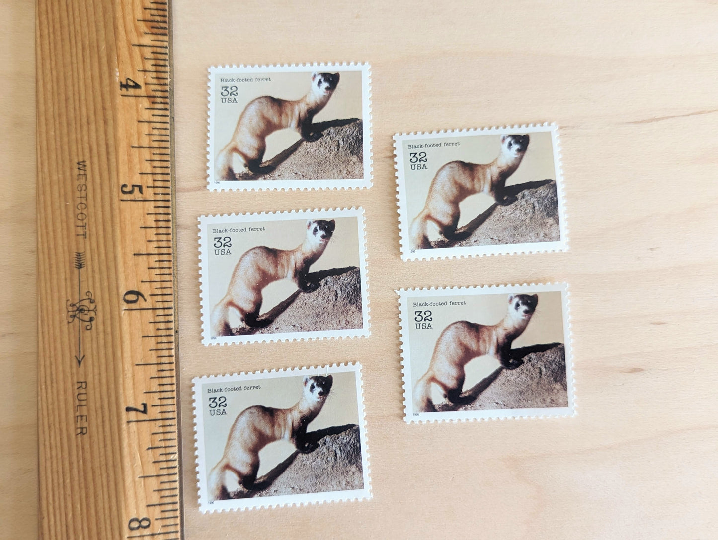 5 Black Footed Ferret Stamps, 32 Cent Unused Postage Stamps, 1995 Endangered Species Postage