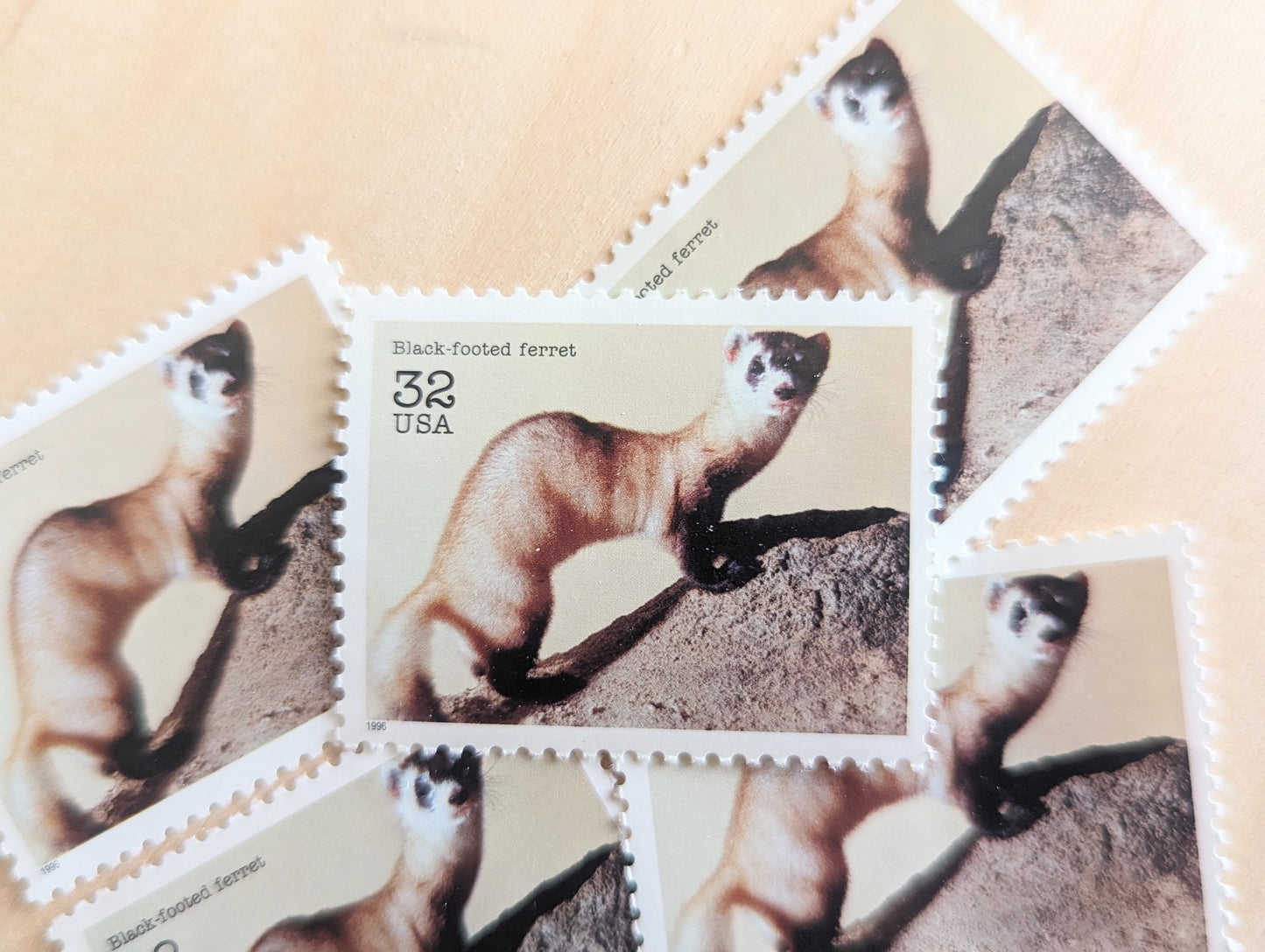 5 Black Footed Ferret Stamps, 32 Cent Unused Postage Stamps, 1995 Endangered Species Postage