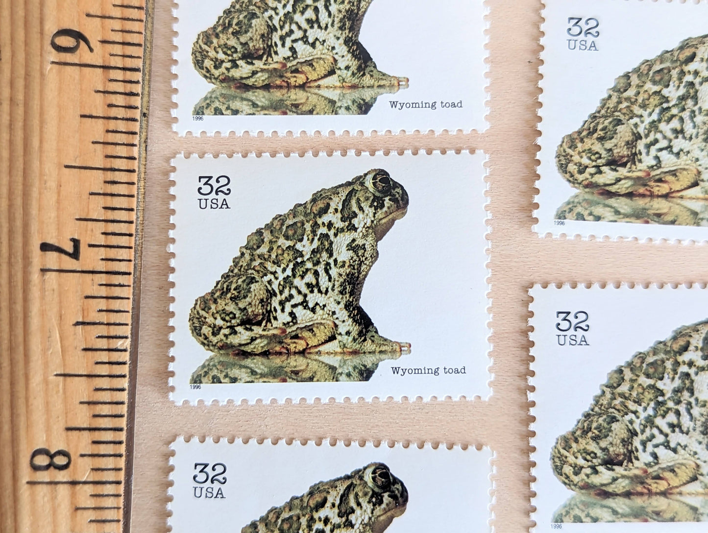 5 Wyoming Toad Stamps, 32 Cent Unused Postage Stamps, Endangered Species 1995