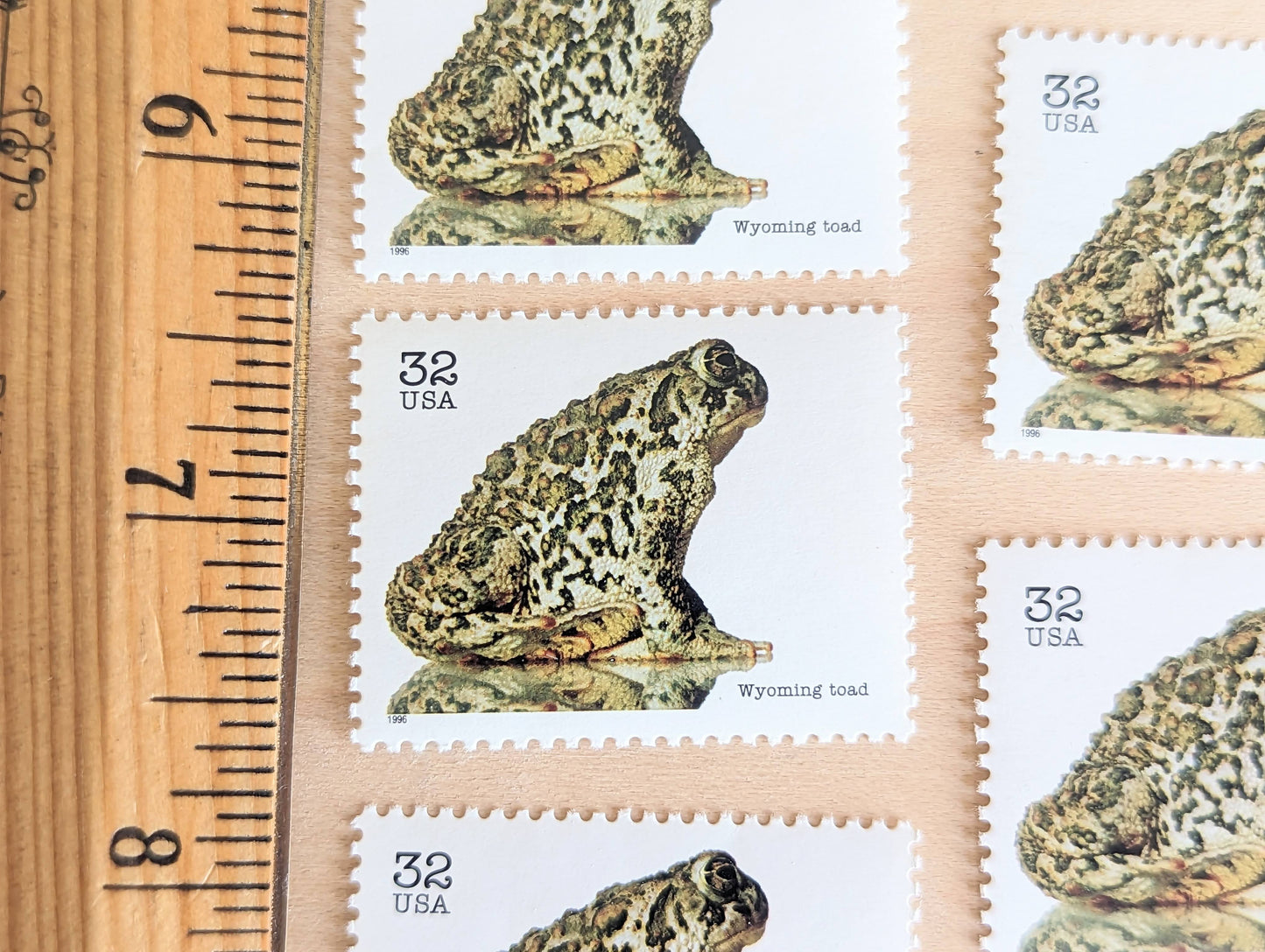 5 Wyoming Toad Stamps, 32 Cent Unused Postage Stamps, Endangered Species 1995