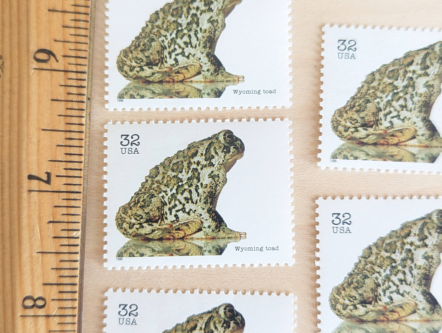 5 Wyoming Toad Stamps, 32 Cent Unused Postage Stamps, Endangered Species 1995