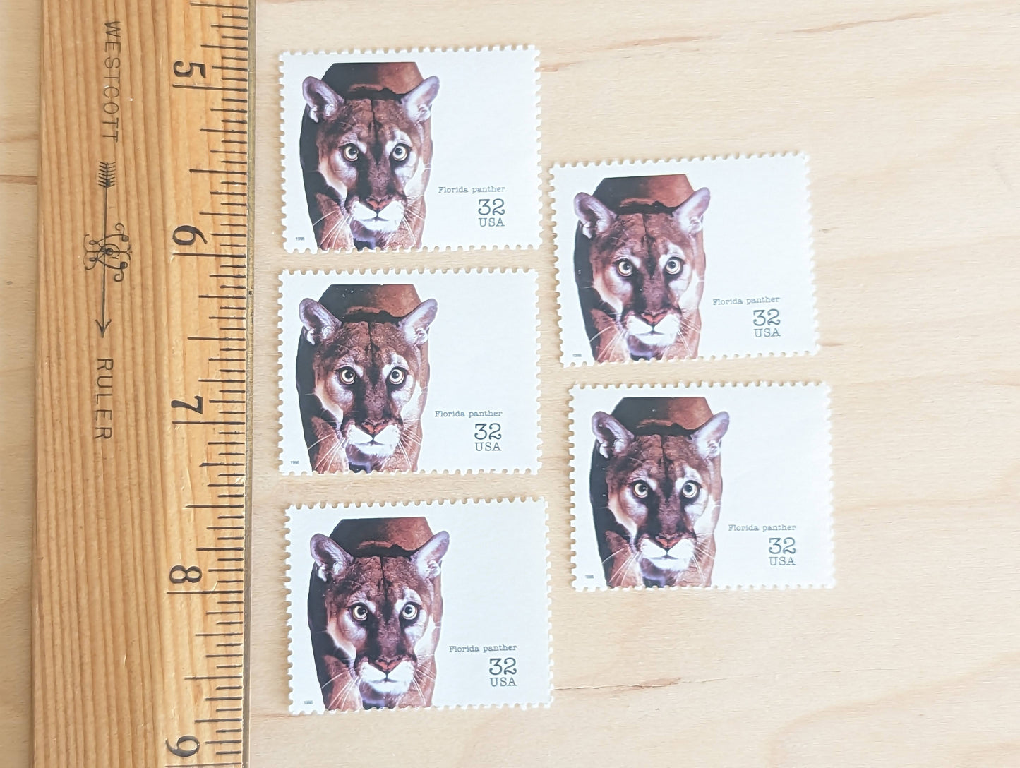 5 Florida Panther Stamps, 32 Cent Unused Postage Stamps, Endangered Species 1995