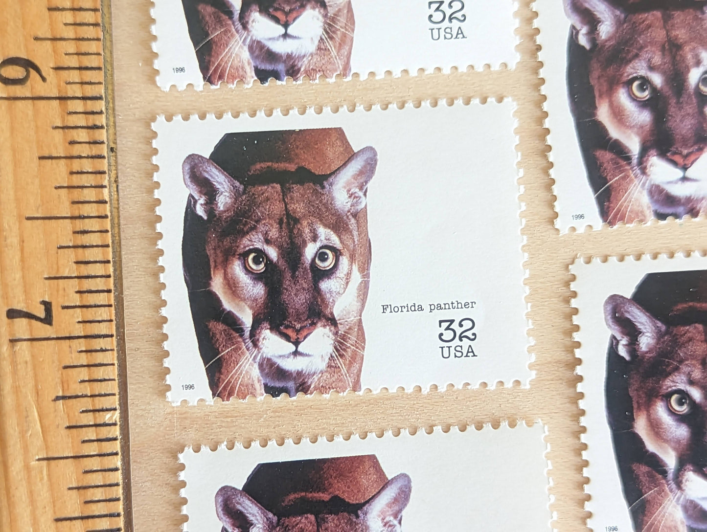 5 Florida Panther Stamps, 32 Cent Unused Postage Stamps, Endangered Species 1995