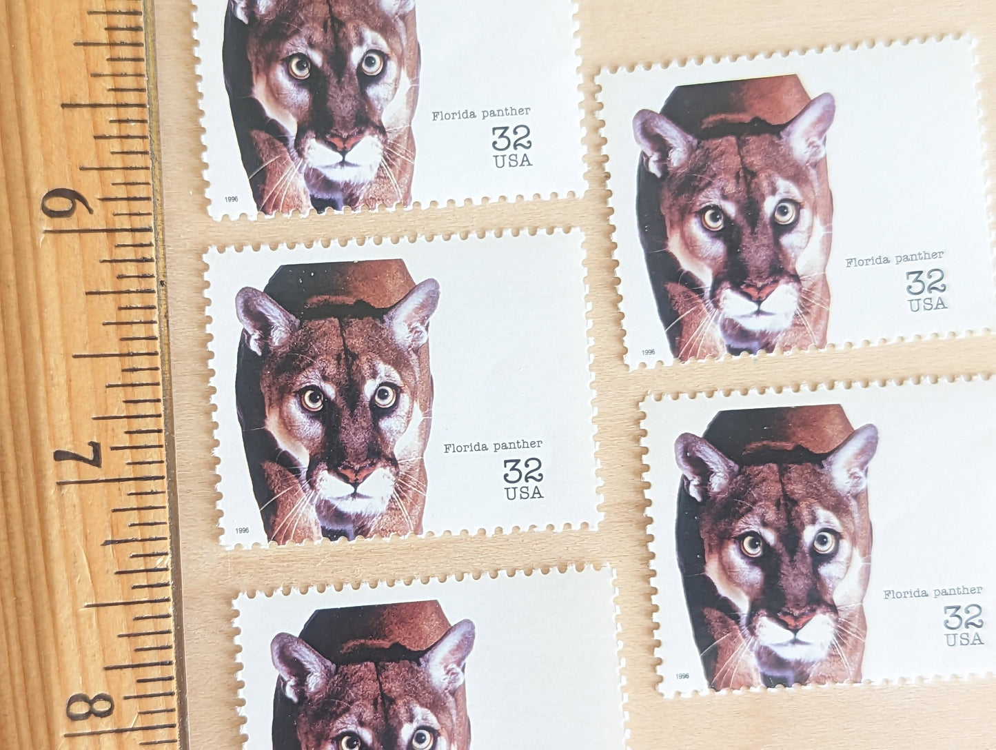 5 Florida Panther Stamps, 32 Cent Unused Postage Stamps, Endangered Species 1995