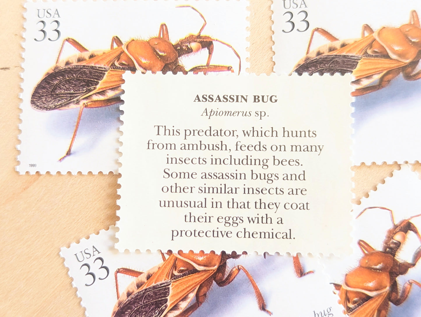 5 Assassin Bug Stamps, 33 Cent, 1999, Unused Postage Stamps, Insects and Spiders