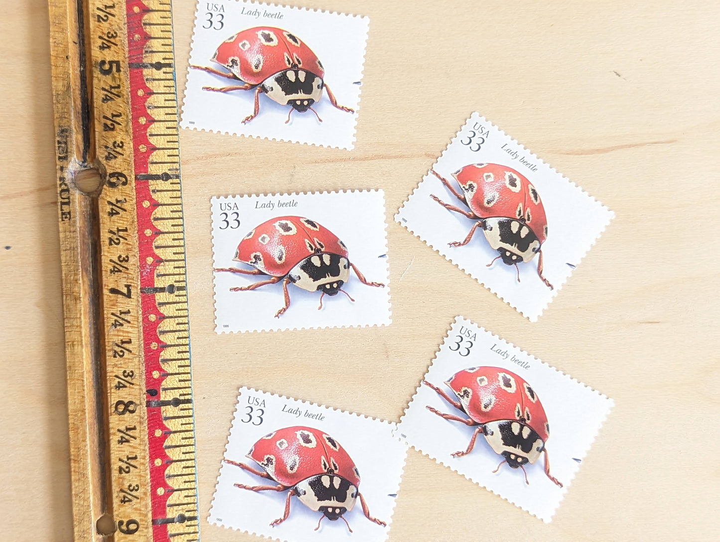 5 Lady Beetle Stamps, 33 Cent, 1999, Unused Postage Stamps, Insects and Spiders, Ladybug